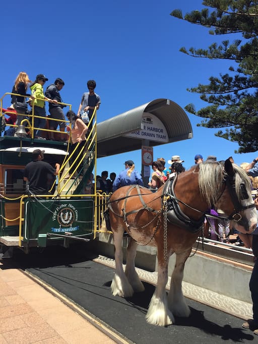 Walking distance to horse drawn tram and Granite Island