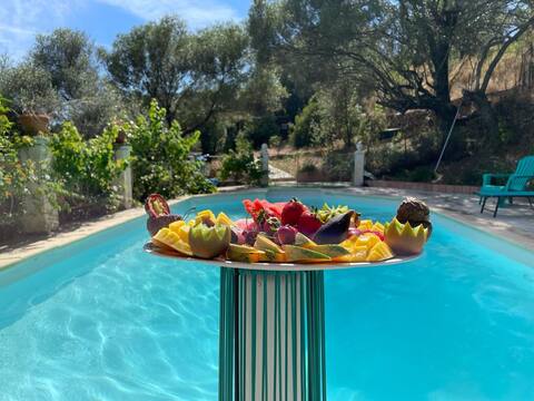 Beautiful olive grove, House 55 m2, Terrace, Pool