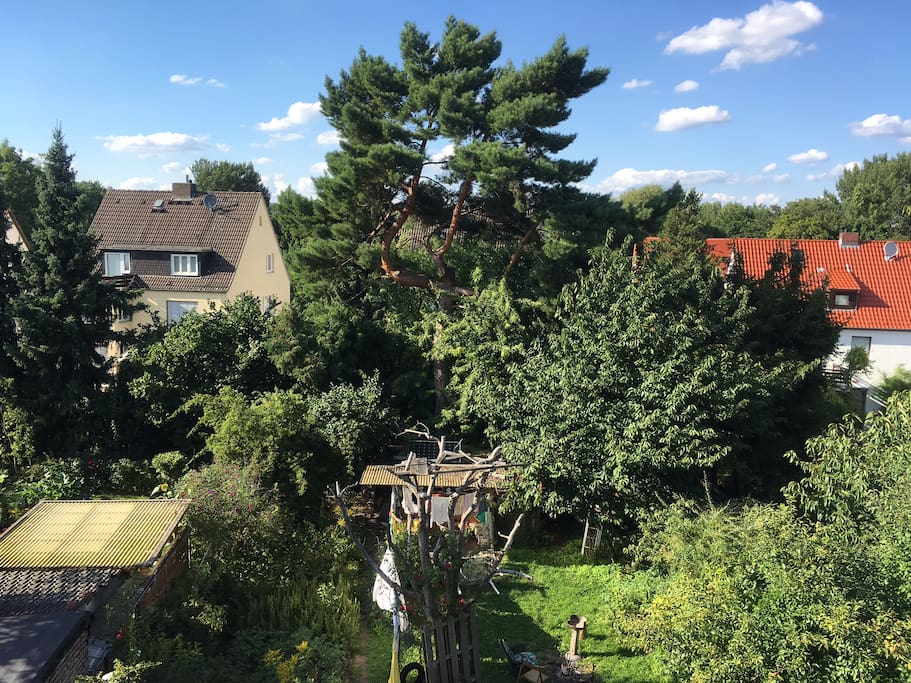 Garten - Garden