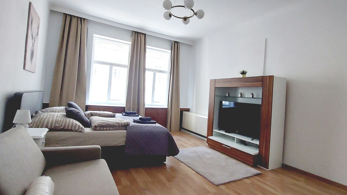 Bedroom with sleeping bed, sofa and tv