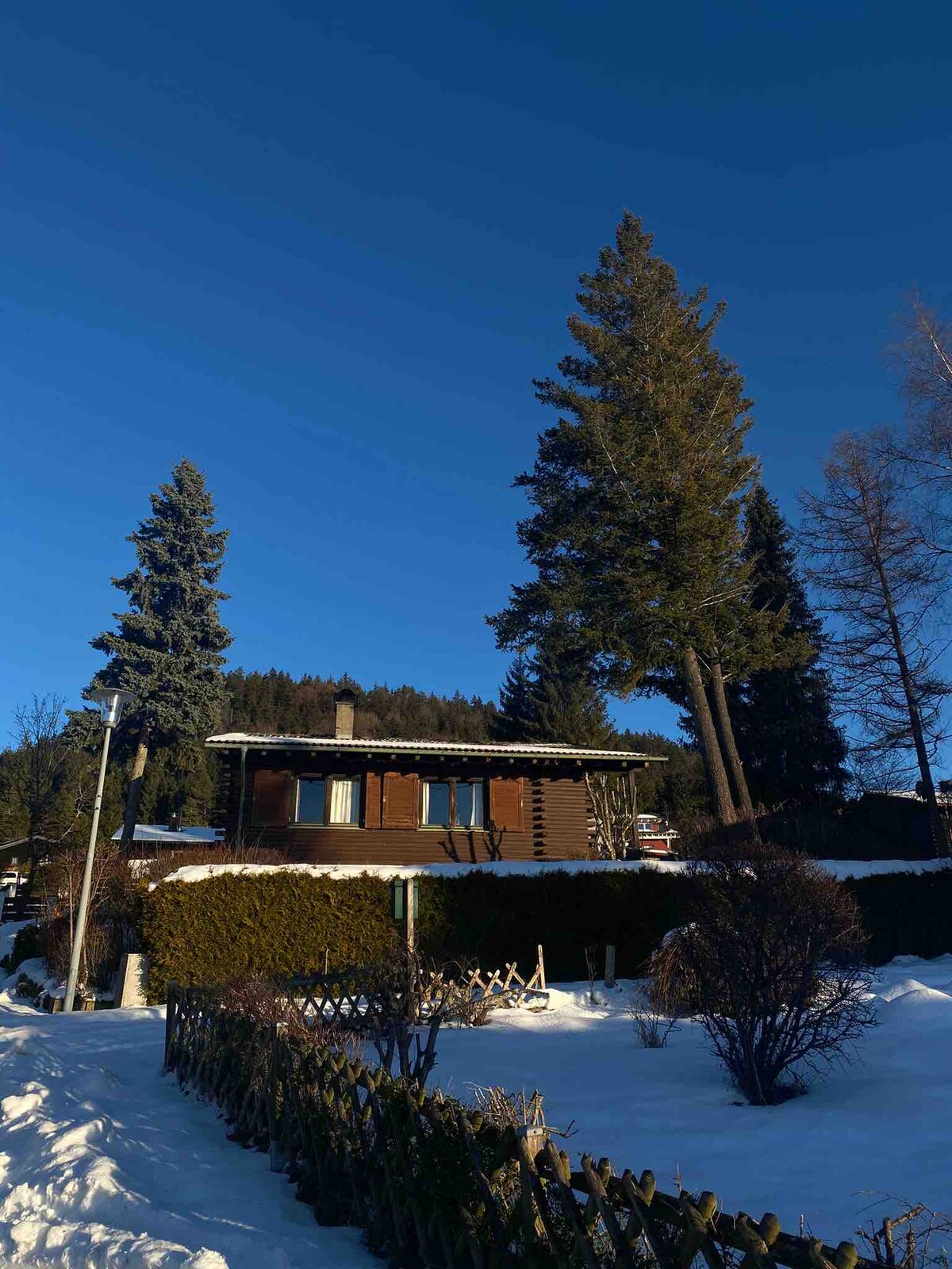 A wooden chalet is set against a clear blue sky, surrounded by tall trees. Snow covers the ground, with neatly trimmed hedges framing the property. The roof has a light dusting of snow, contributing to the winter landscape.