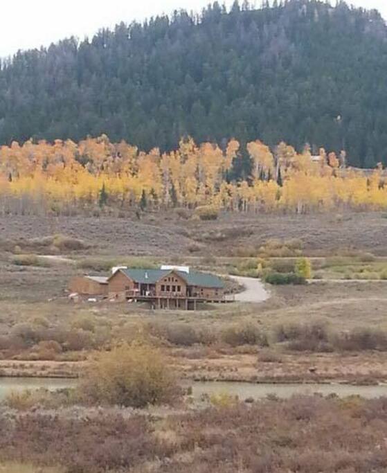 View of Home