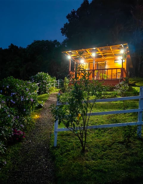 Cabin + Breakfast + Strawberry Tour