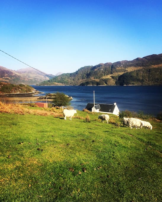 You can see just how perfectly situated the property is in this photo. Follow the loch to the left for Eilean Donan Castle & to the right for The Skye Bridge.