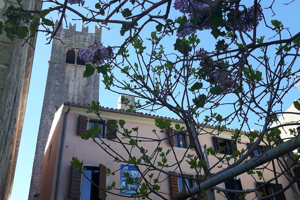 B&B Antico near tower