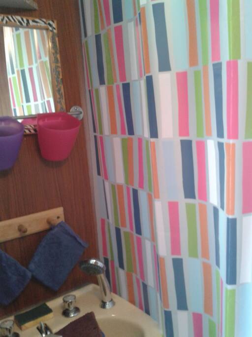 salle de bain lavabo et douche
