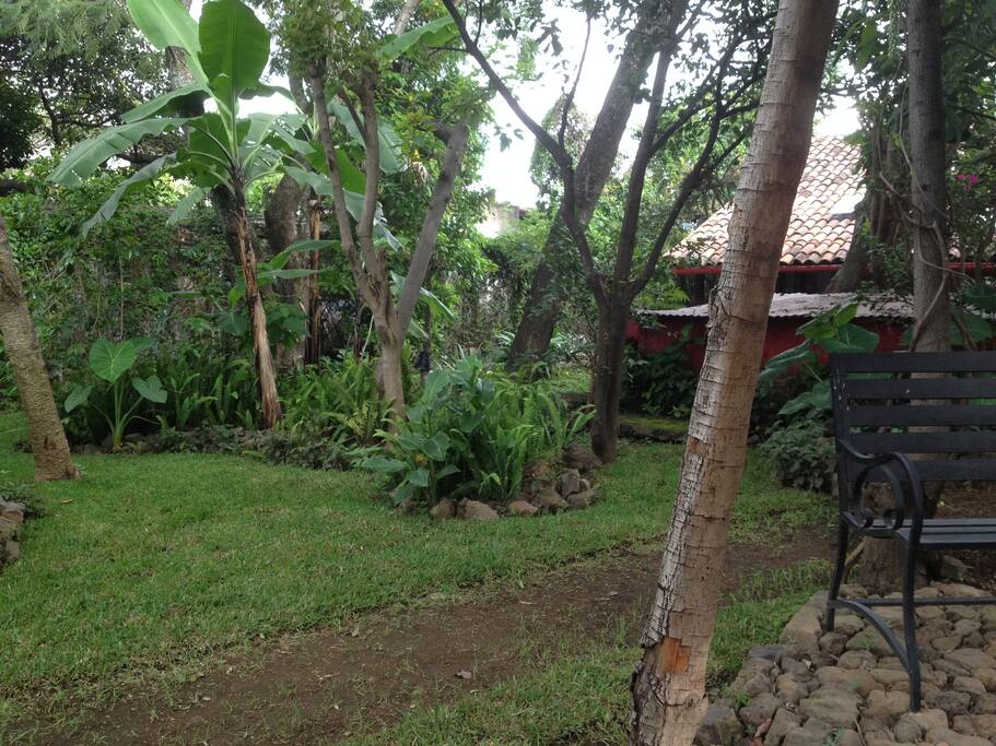 En época húmeda la vegetación es exuberante