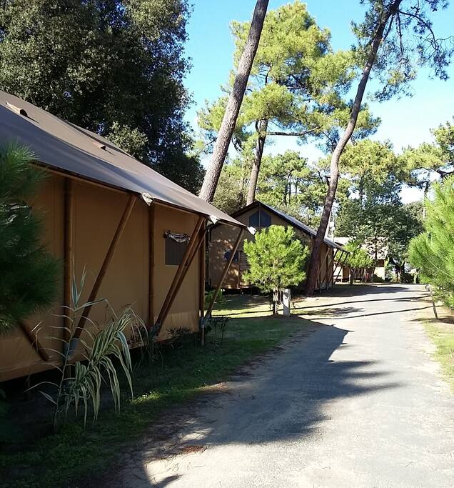 Village des VIPS