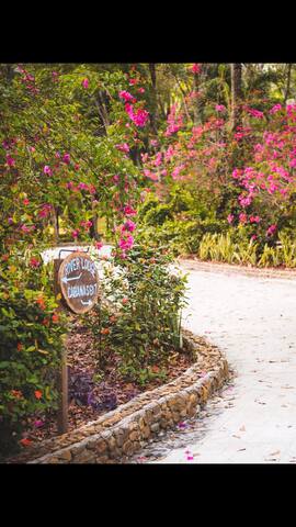 Mayan Garden: 10 Cabana Rooms gallery image 3