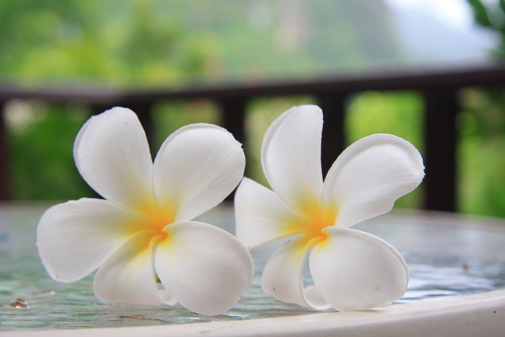 Flowers in the area.