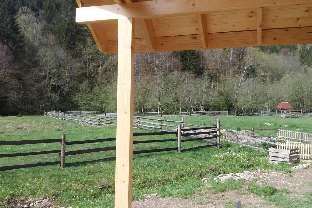 Ausblick von der Terrasse Richtung Bach