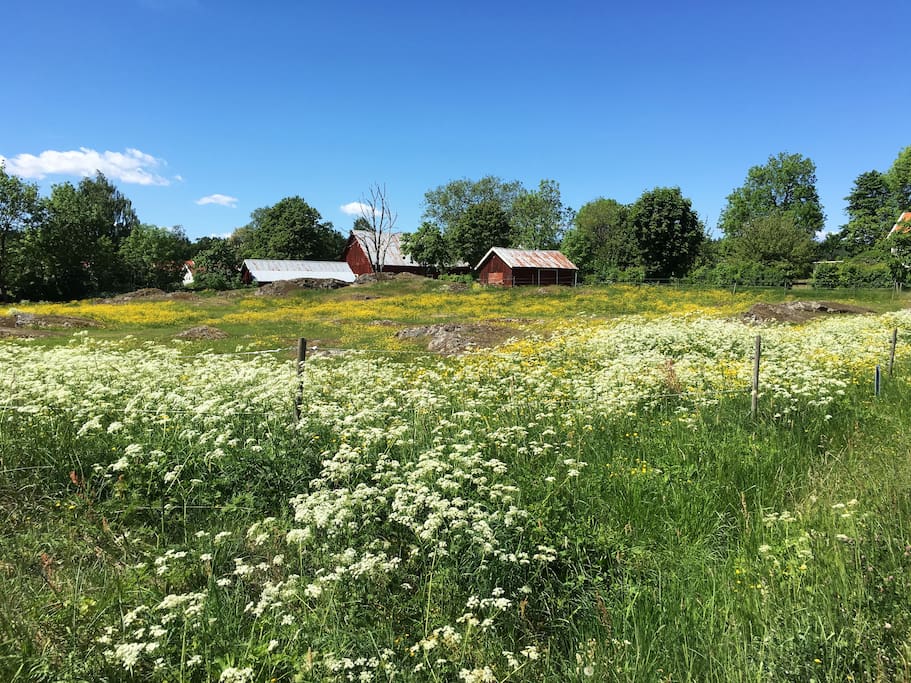 Welcome to a picturesque village with lovely swedish nature just outside exciting Jönköping
