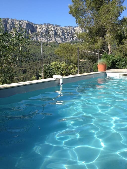 Piscine 8x4