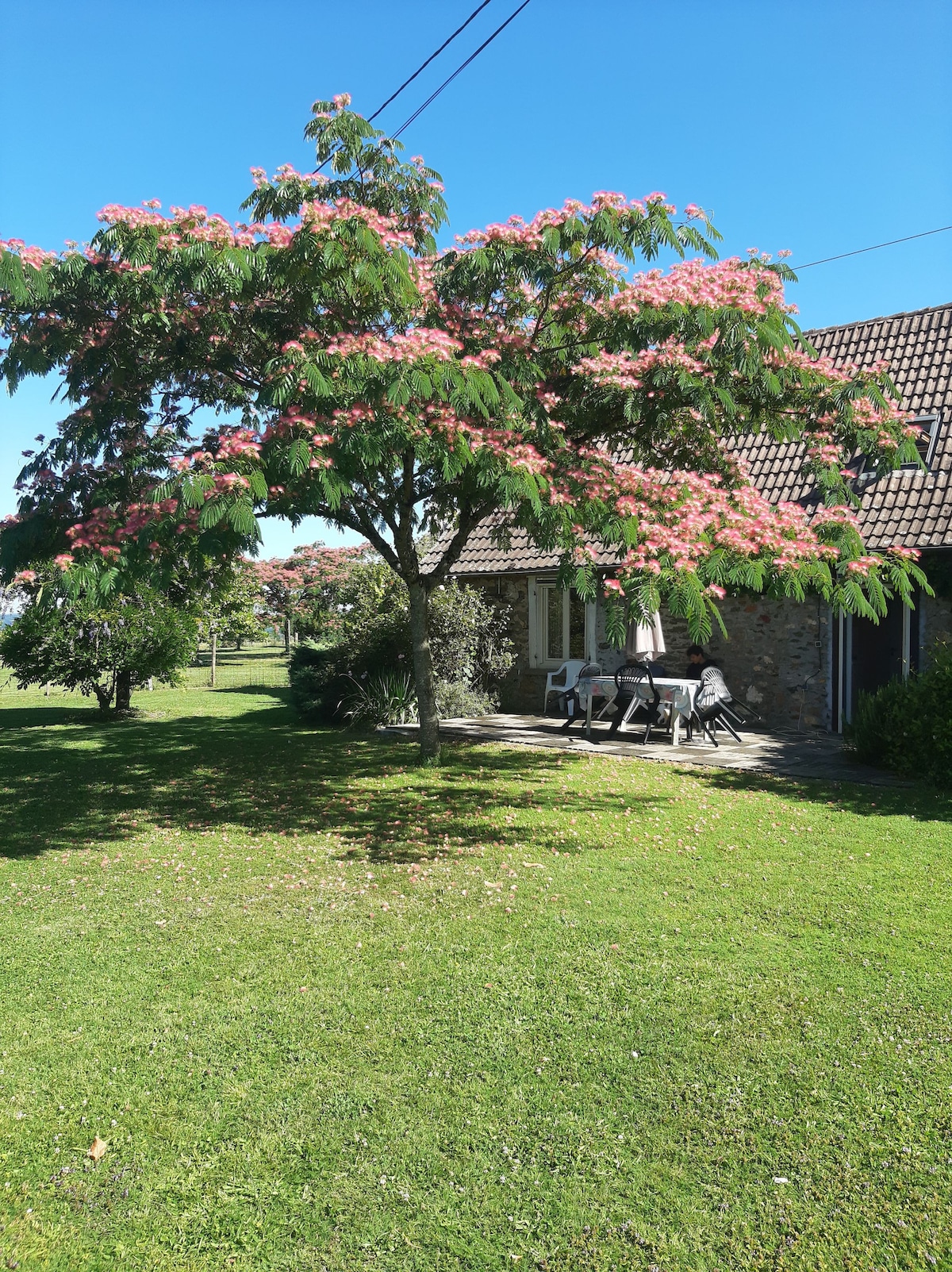 A charming stone house is surrounded by green grass and a vibrant flowering tree. An outdoor seating area is visible under the tree, featuring a table and chairs, providing a serene space to enjoy the peaceful surroundings.