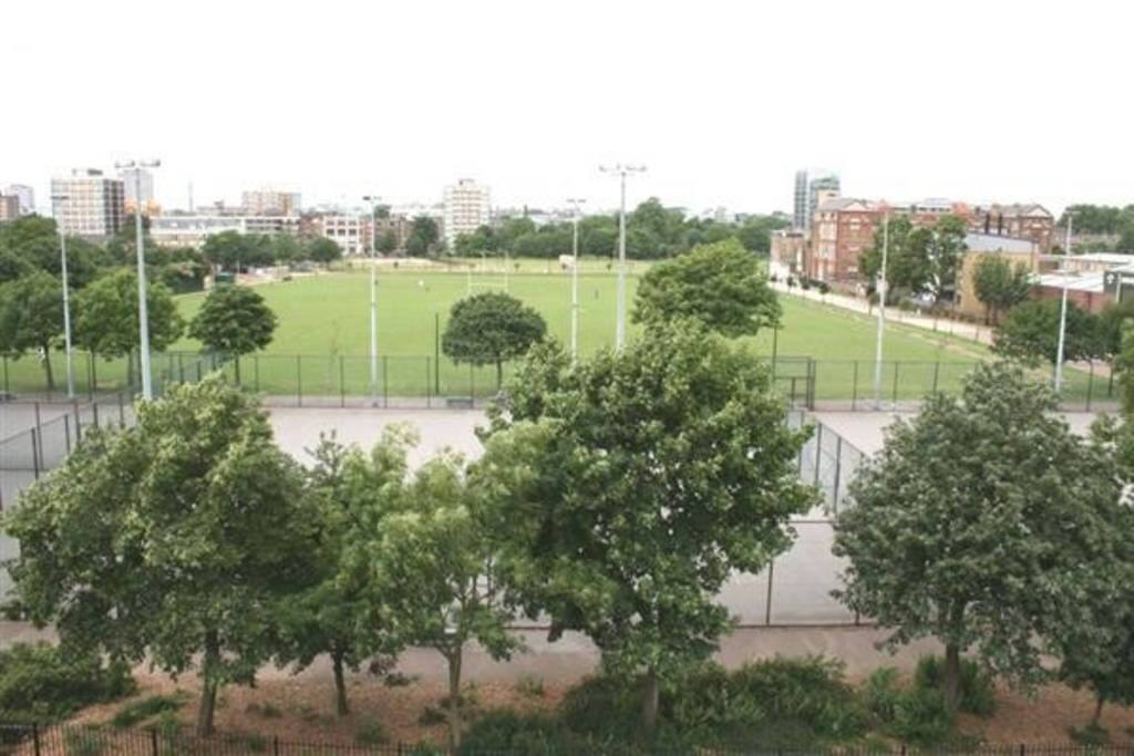 View of the park