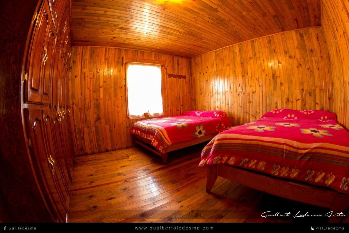 A cozy wooden cabin room features two spacious beds adorned with bright floral-patterned blankets. The walls and floor, made of polished wood, enhance the warm atmosphere. A window allows natural light to brighten the room, providing a comfortable and inviting space for relaxation.