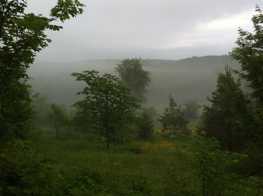 Misty morning view from meadow trail