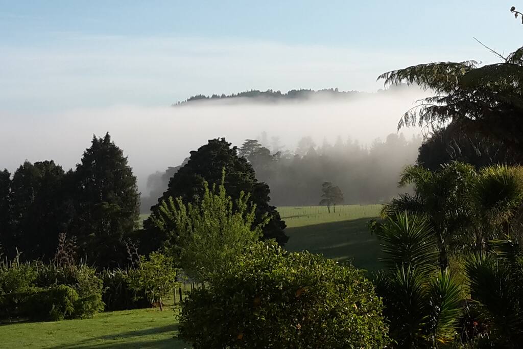 Early morning