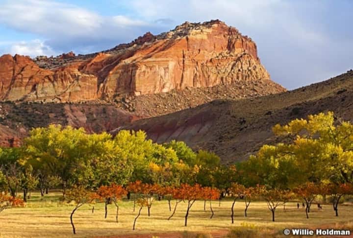 Capitol Reef Autumn
