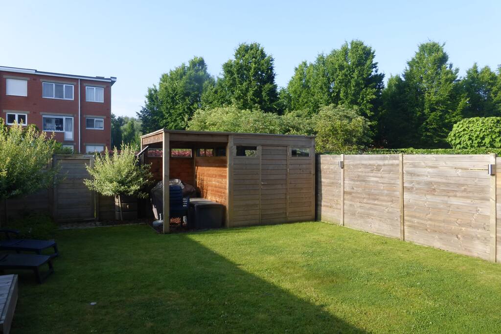The garden