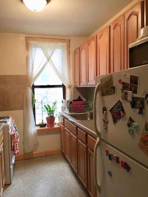 the kitchen
