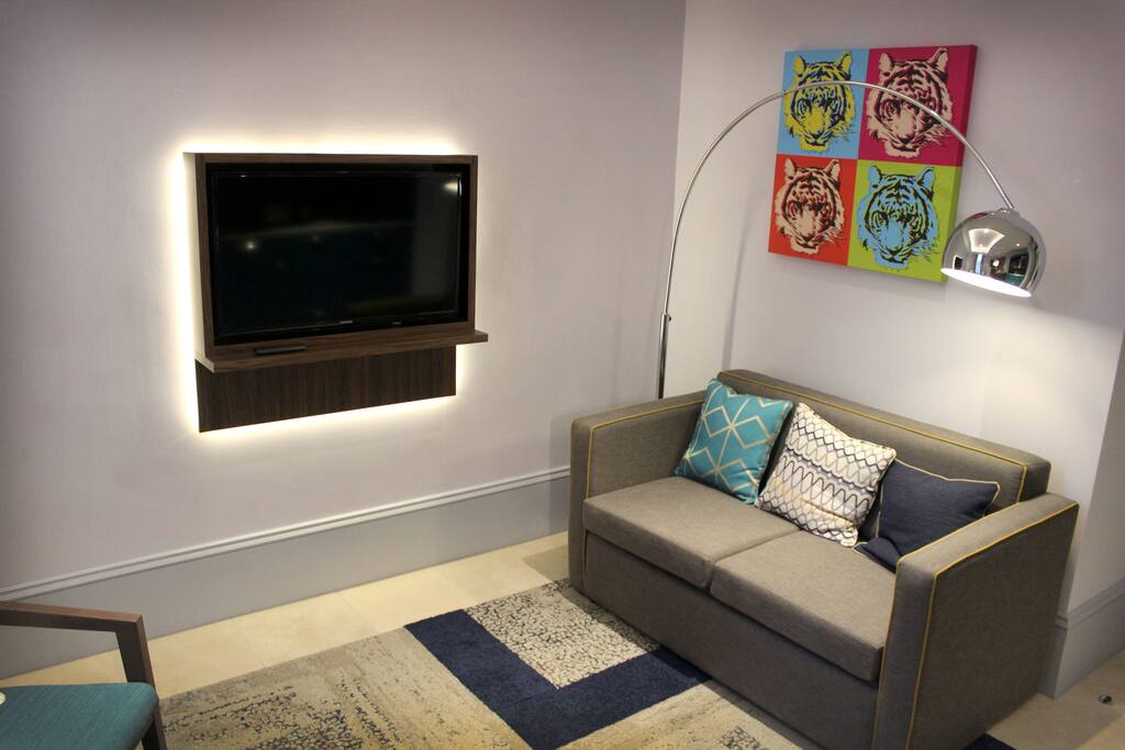 Living area with sofa bed
