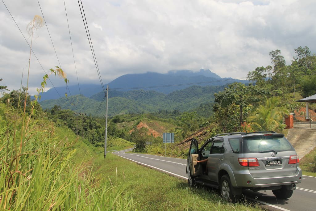 In Borneo Highlands