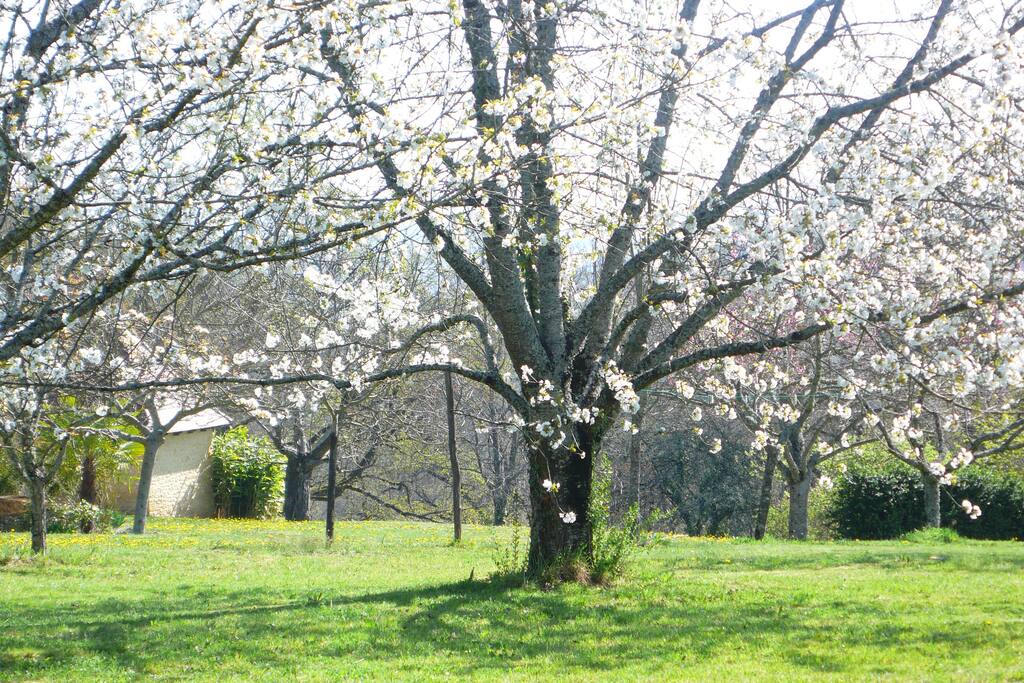 le parc