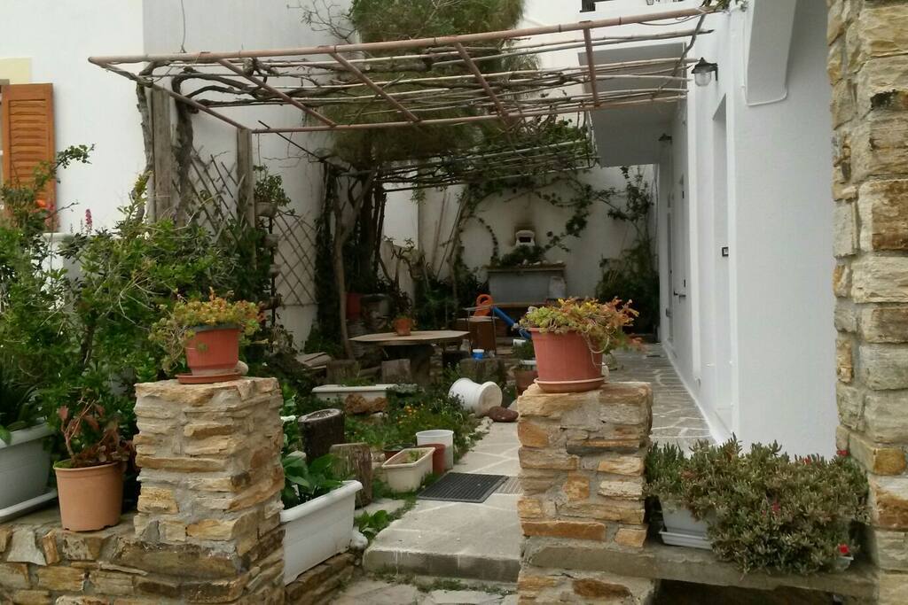 the garden