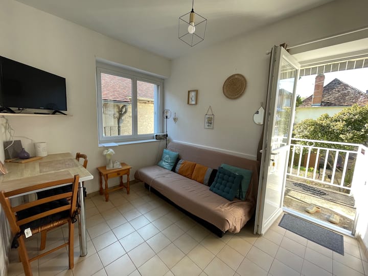 Les Apparts De Céline/
Centre Ville à 2 Pas/balcon - La Roche-Posay