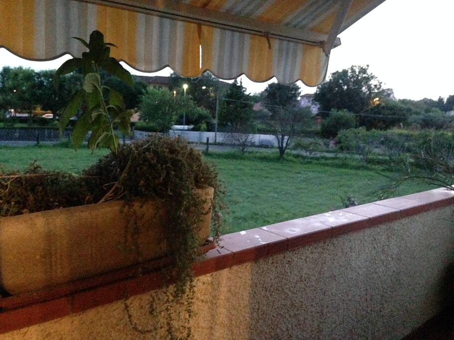 Vista dalla terrazza