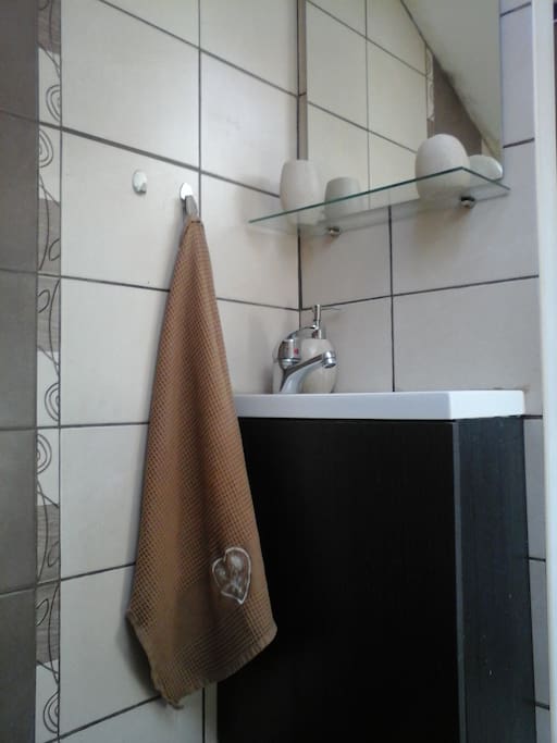 salle de douche avec W.C.
