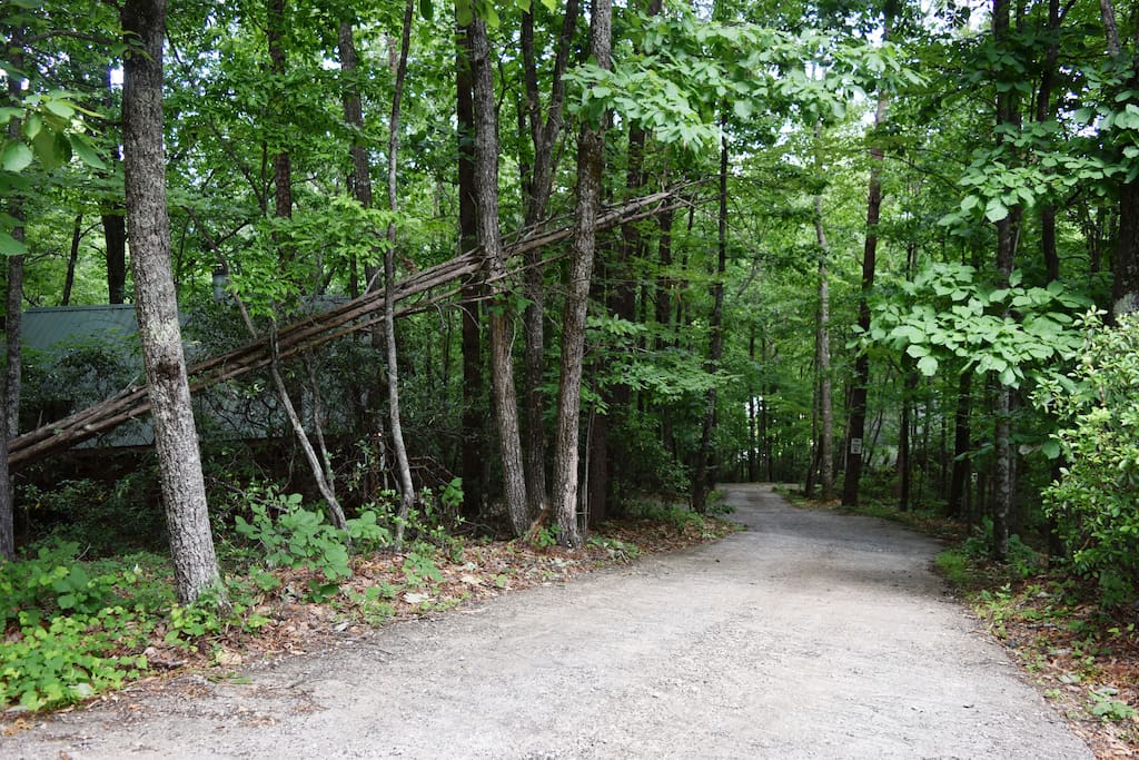 Shared driveway with cabin at the end of the road. Mountopia is on the left and other cabin at bottom on right, but not visible.