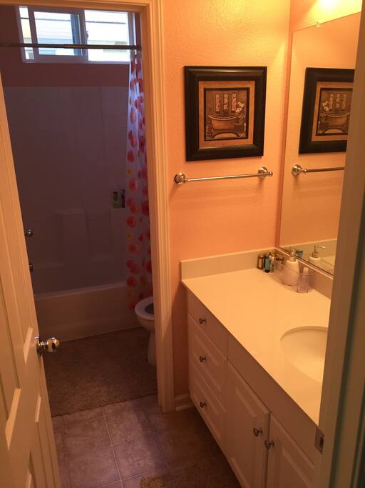 Guest bathroom