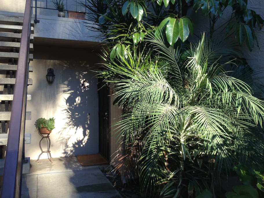 Tropical landscape
