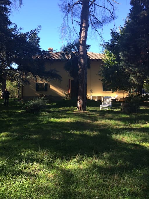 The house