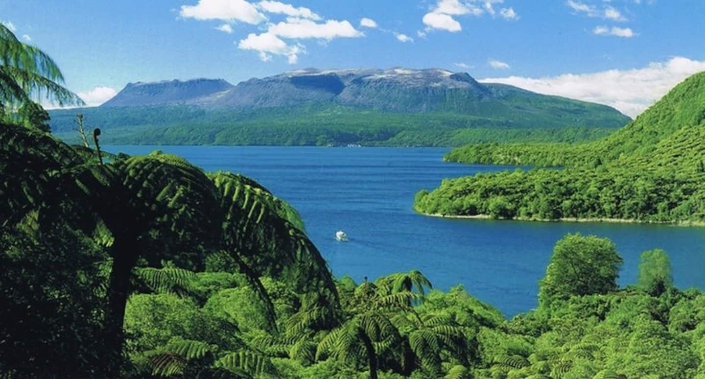 Te Miro Lakeside Cottage.  Lake Tarawera. Rotorua. 5