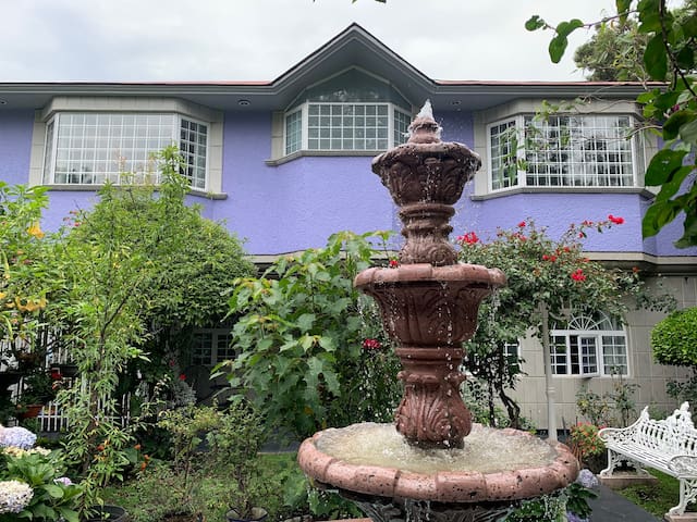 House & Garden Coyoacan, Steps from Frida Kahlo