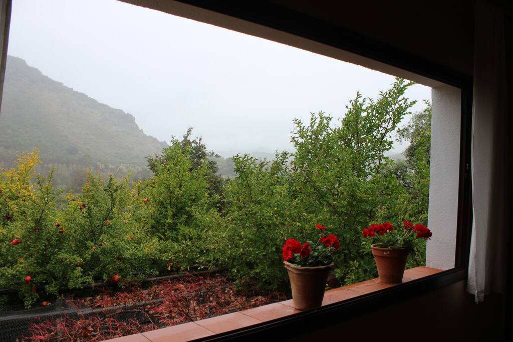 Ventana dormitorio