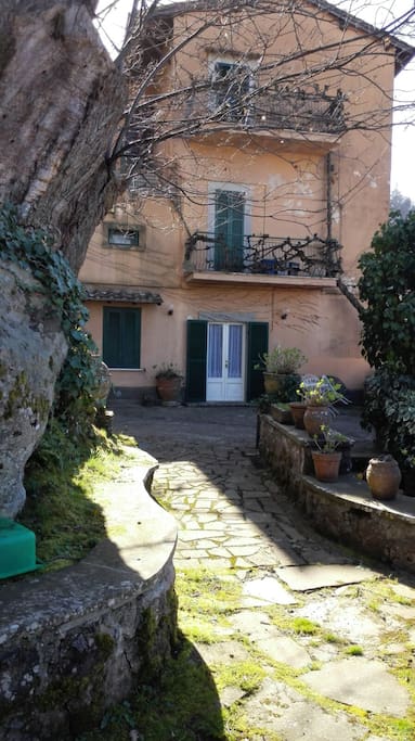 House from the garden. Top floor apartment