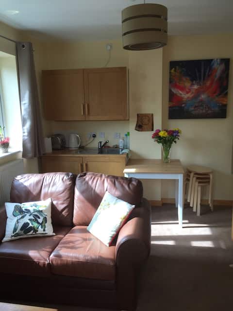 Top performing Airbnb: The Huffy House in Glastonbury