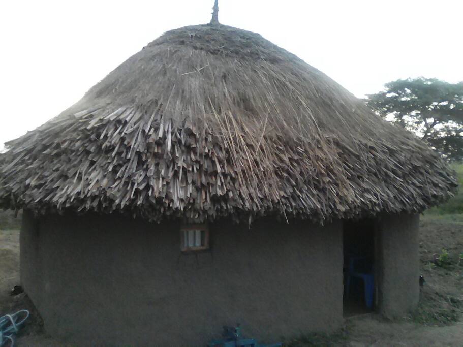 Full view of my accommodation