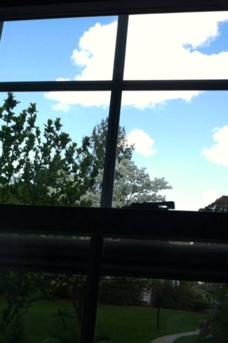 Sunny skies through new windows.
