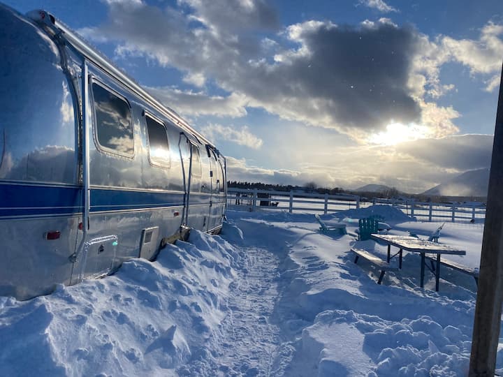 Top 10 Tiny Houses For Rent In Flagstaff, Arizona Updated 2024 Trip101