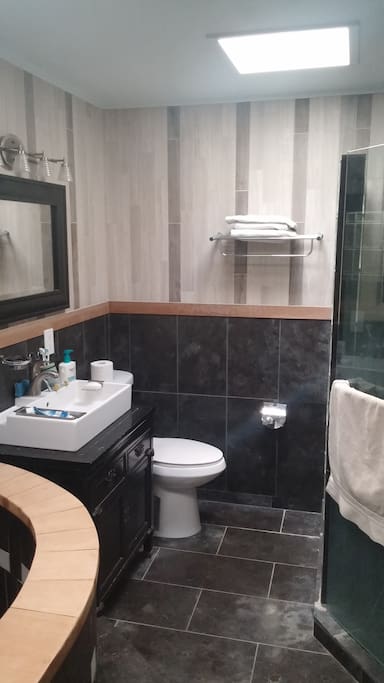 Modern Stone Bathroom