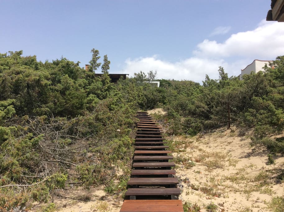 stairs to the houses