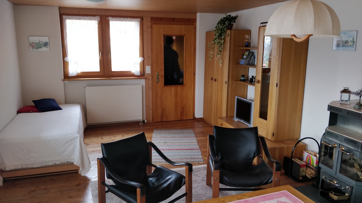 Wohnzimmer mit Einzelbett und Ausziehbett