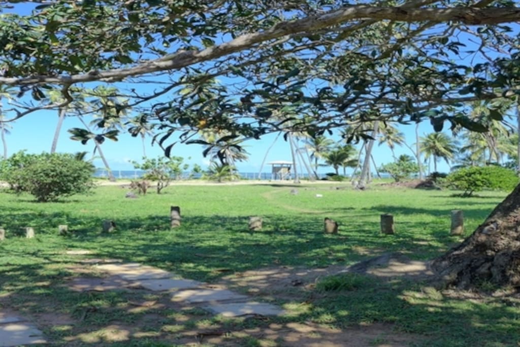 Vista da Praia