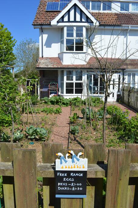 Street view, front garden and house