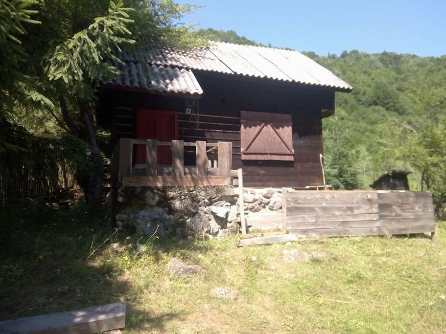 Cabin with patio